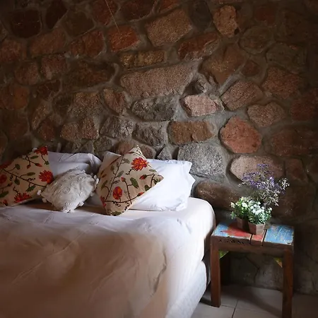Вилла Williams House Эйлат Экстерьер фото