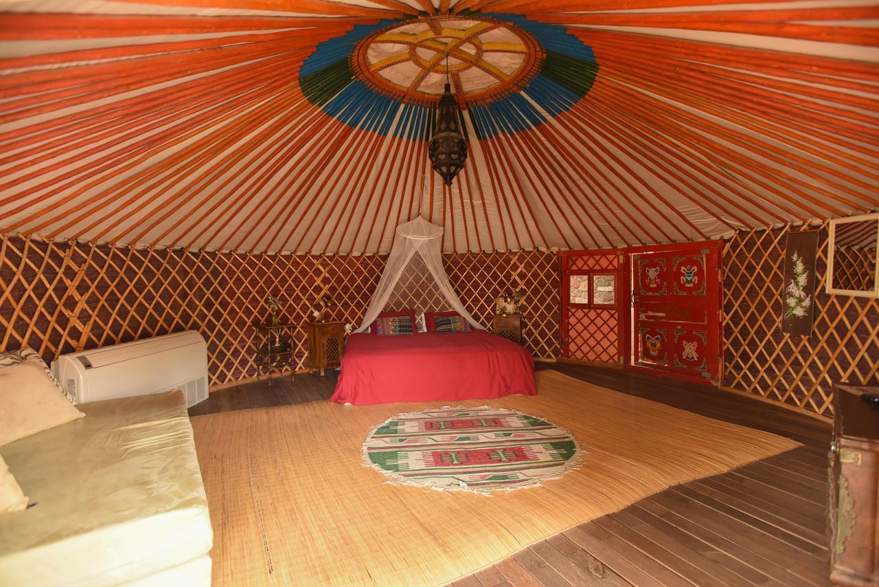 Lodge Williams House